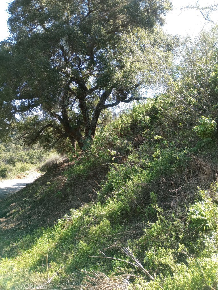 0 Old Chimney Road Malibu, CA 90265 - Photo 3 of 7