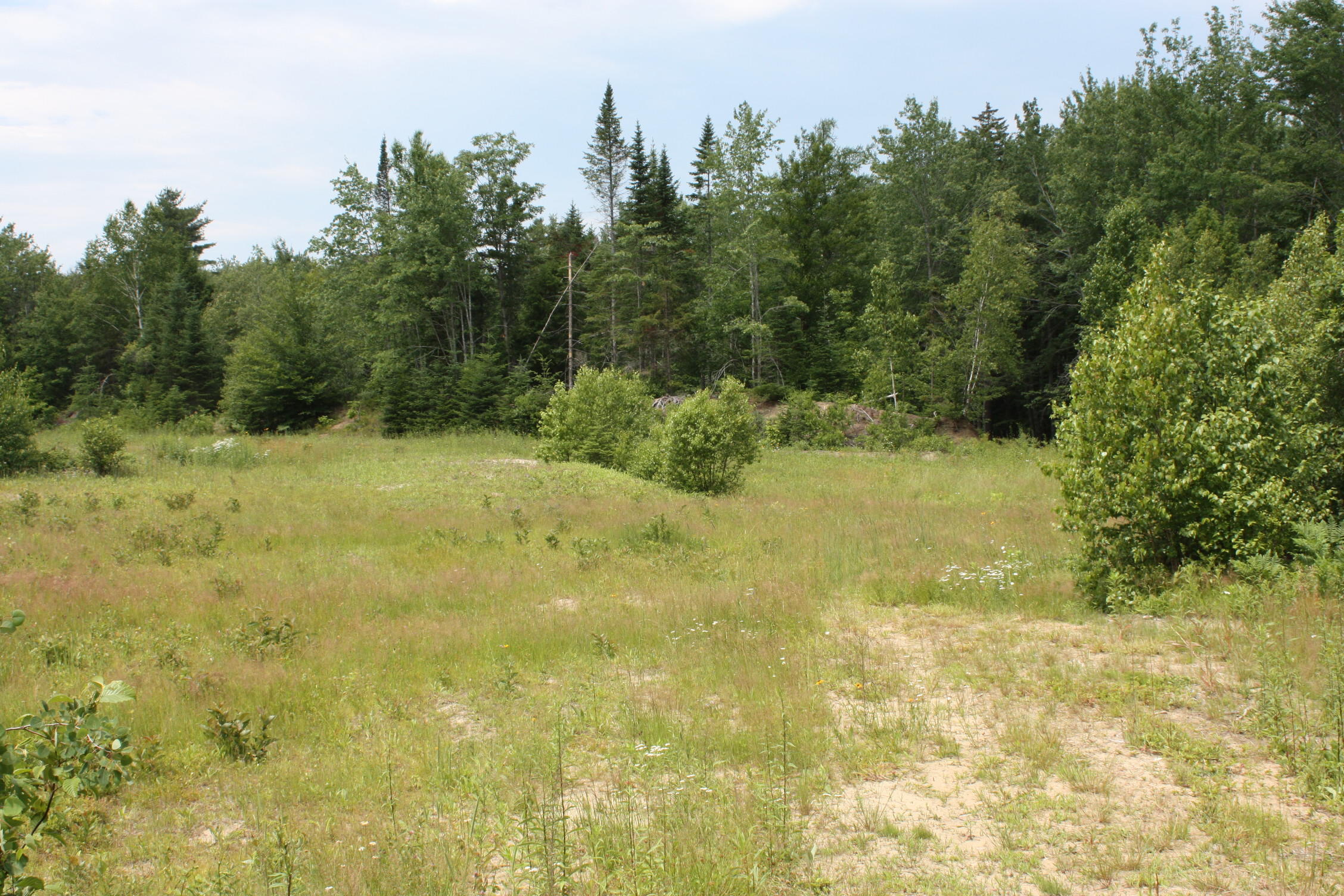 461 Augusta Road Washington, ME 04574 - Photo 51 of 65 IMG_3155 (1)