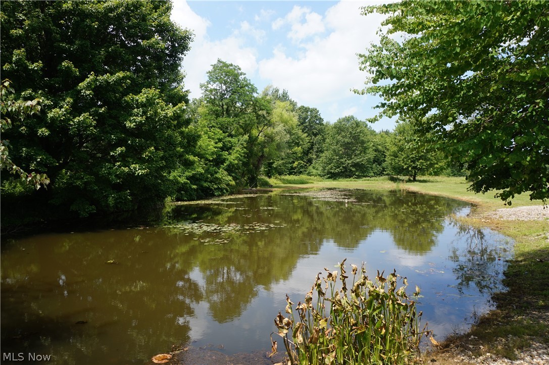 6019 New London Road Ashtabula, OH 44004 - Photo 35 of 47 Pond
