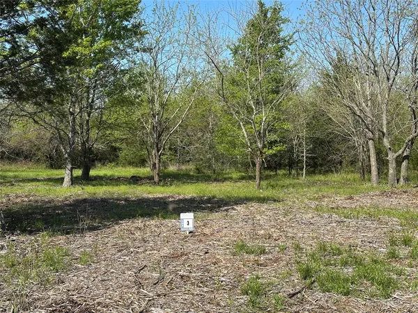 a view of a garden with trees