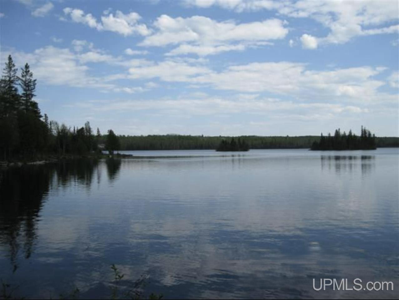 Lot 7 Fence Lake Road Republic, MI 49879 - Photo 1 of 21