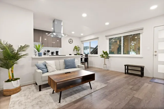 a living room with furniture a rug and a potted plant