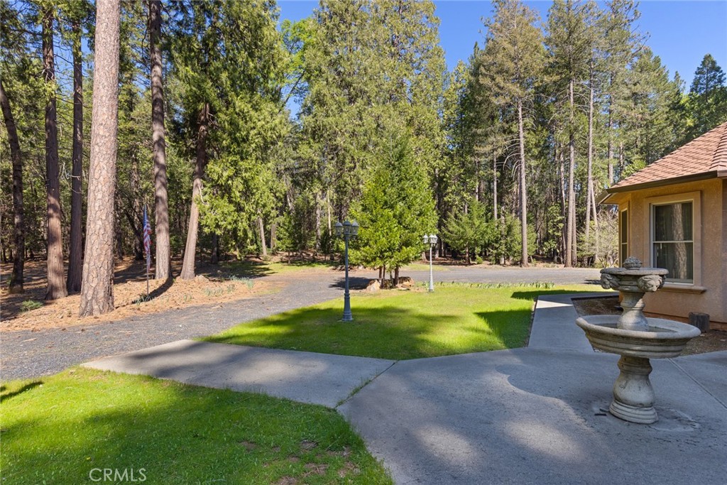 5005 Schott Road Forest Ranch, CA 95942 - Photo 46 of 66