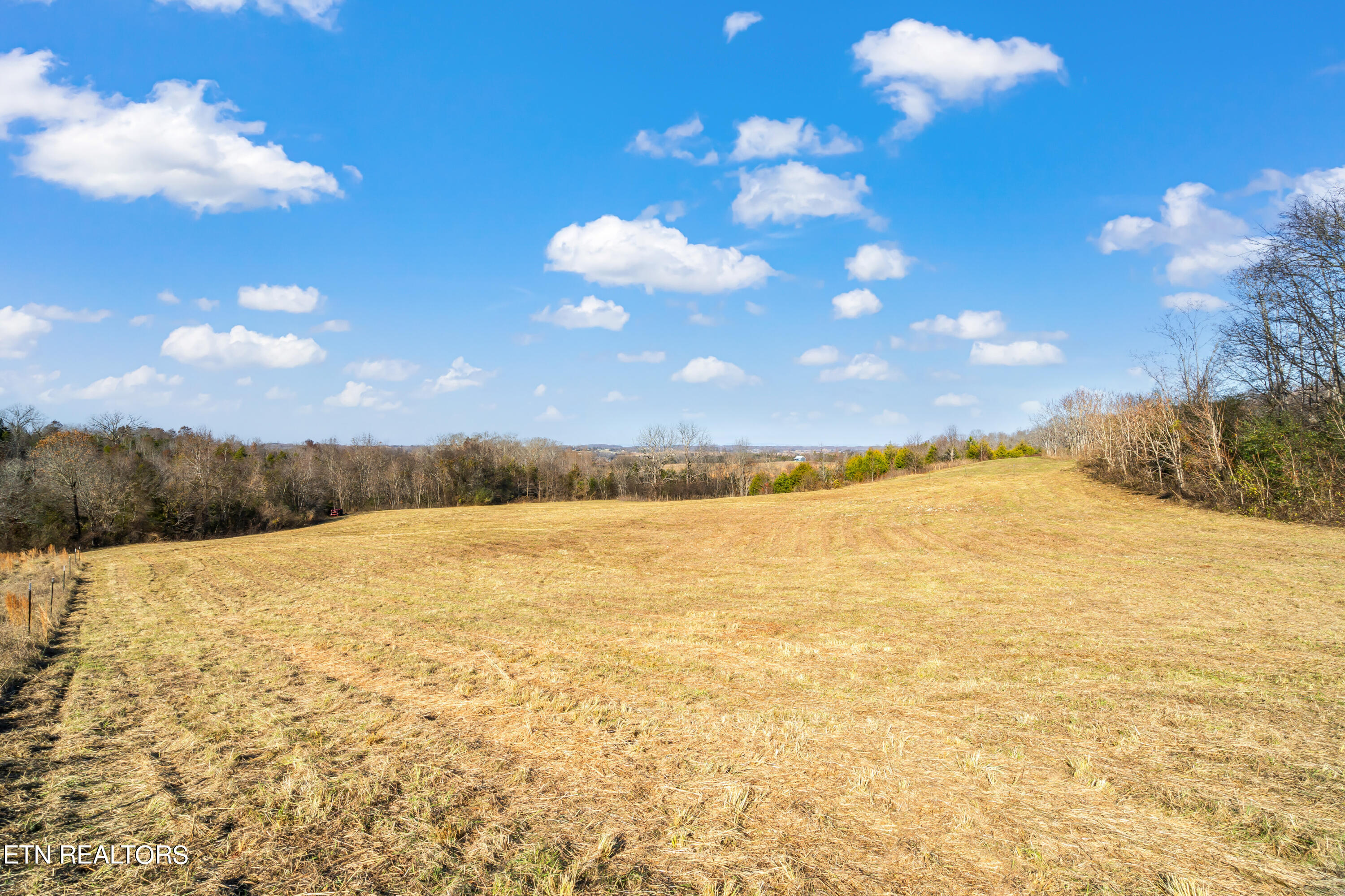 6-acres Hiwassee Road Sweetwater, TN 37874 - Photo 3 of 36 Hiwassee Road Land-2