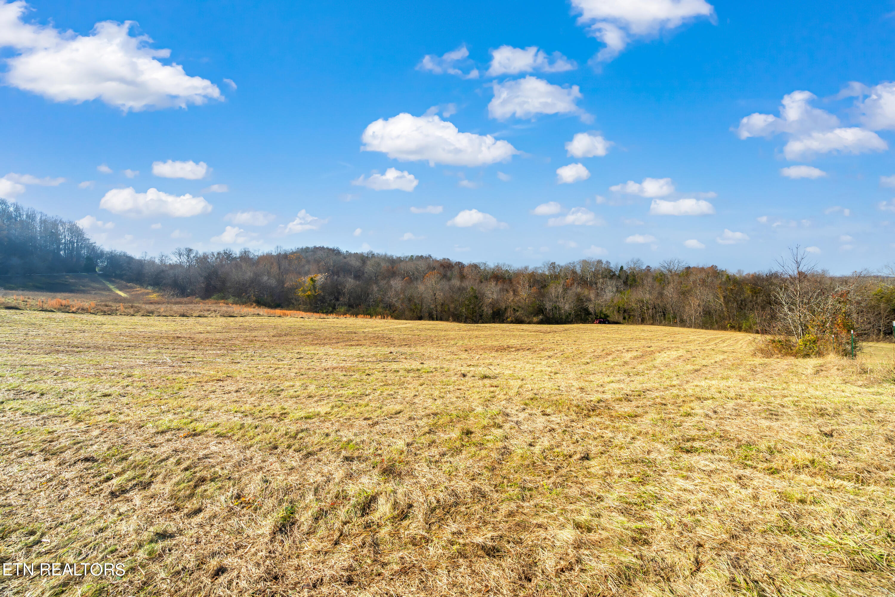 6-acres Hiwassee Road Sweetwater, TN 37874 - Photo 5 of 36 Hiwassee Road Land-4