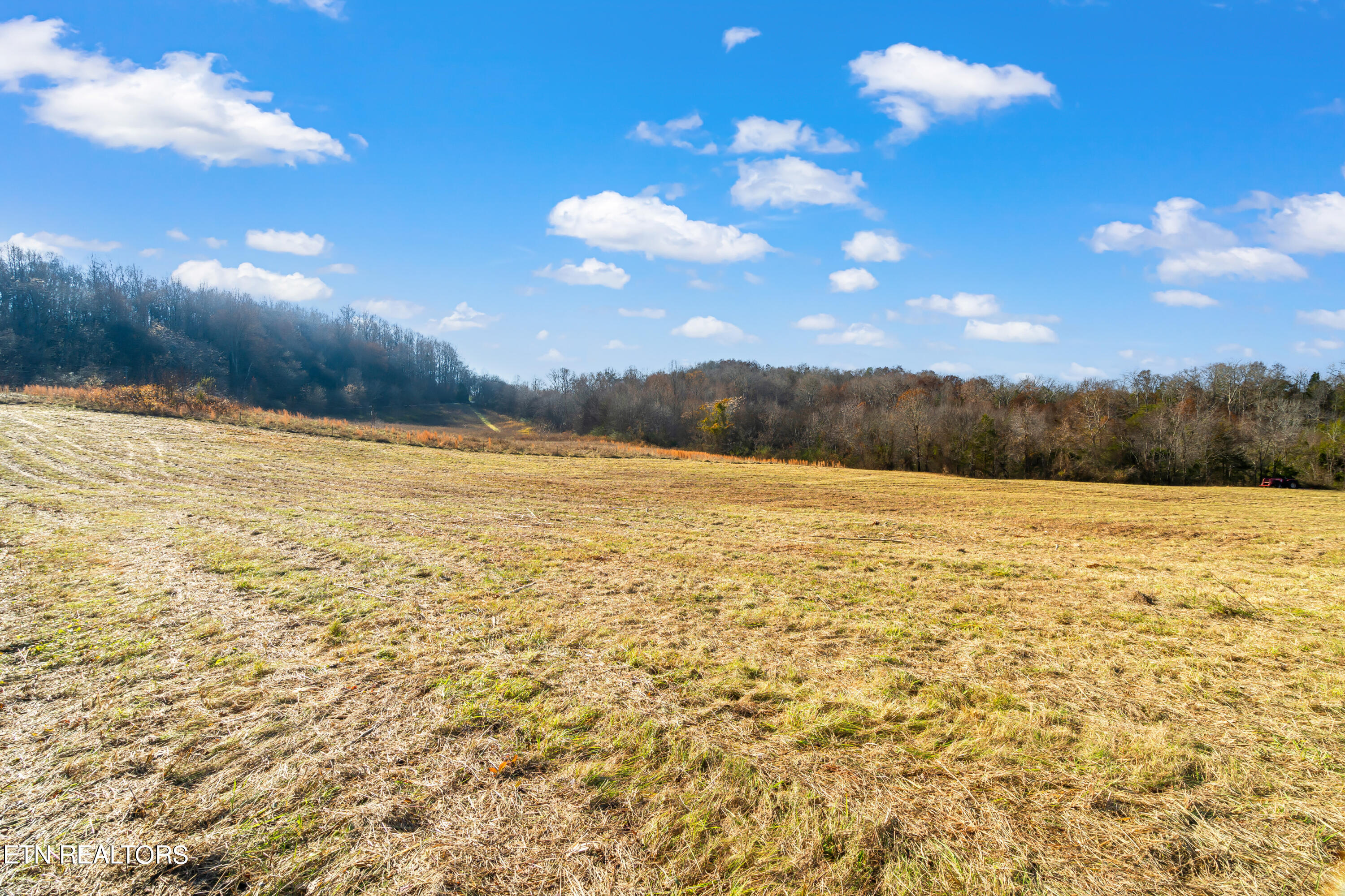 6-acres Hiwassee Road Sweetwater, TN 37874 - Photo 6 of 36 Hiwassee Road Land-5