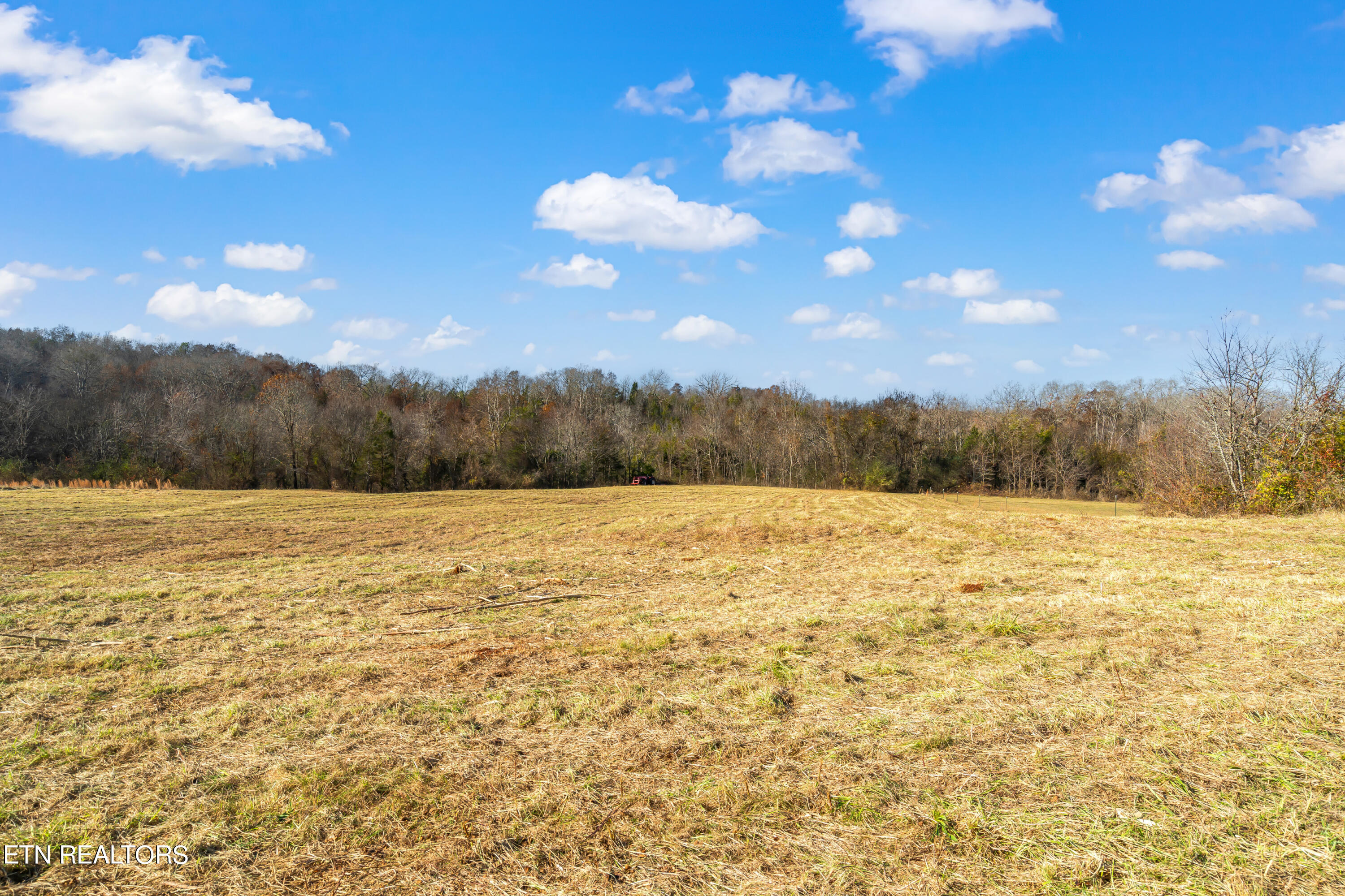 6-acres Hiwassee Road Sweetwater, TN 37874 - Photo 7 of 36 Hiwassee Road Land-6