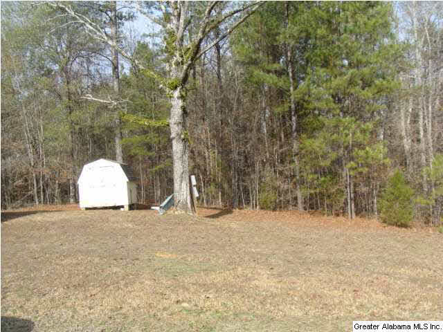 13899 Milldale Road Brookwood, AL 35444 - Photo 22 of 22