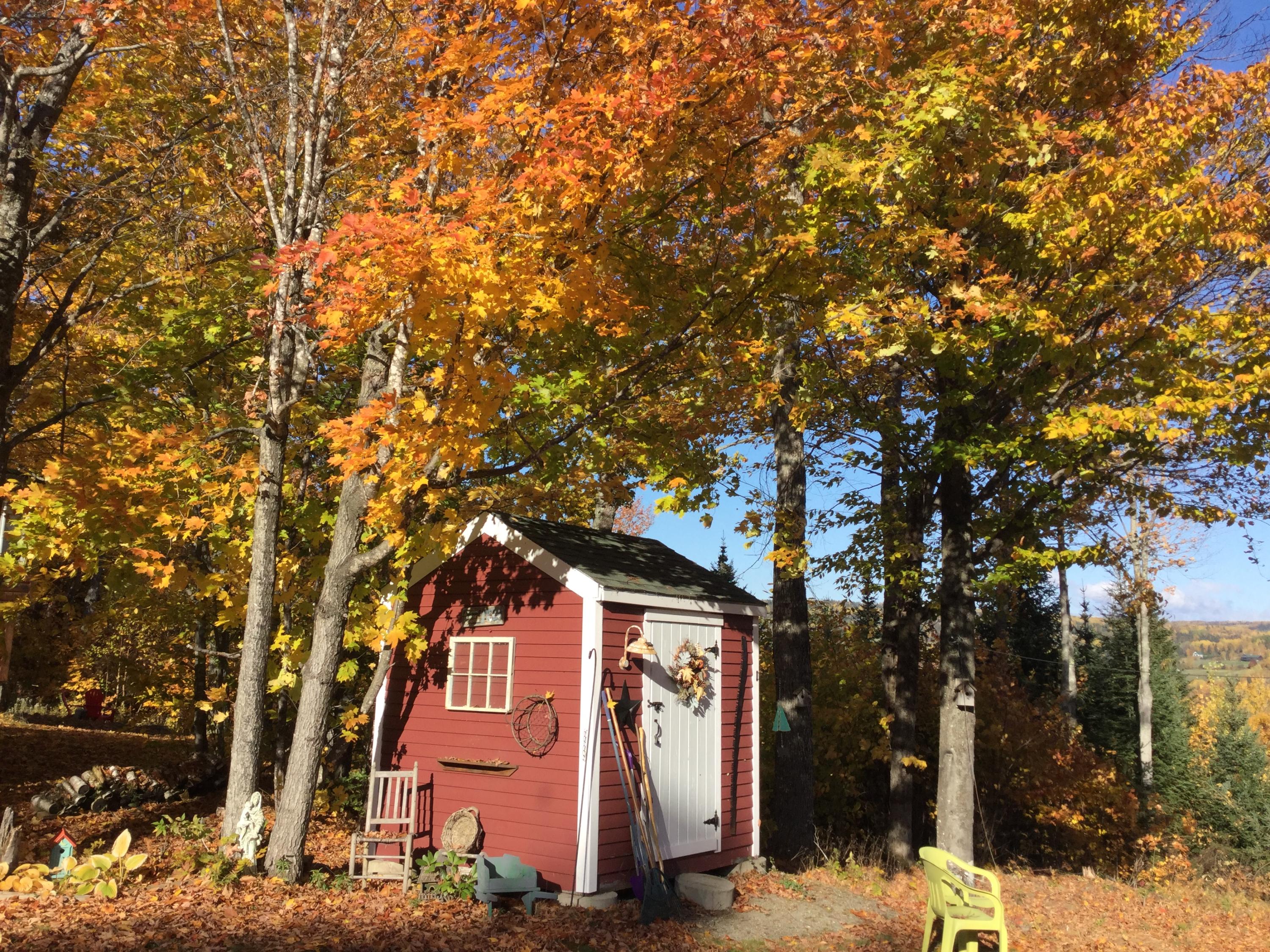 25 Curley Road Rangeley, ME 04970 - Photo 23 of 23 C 20