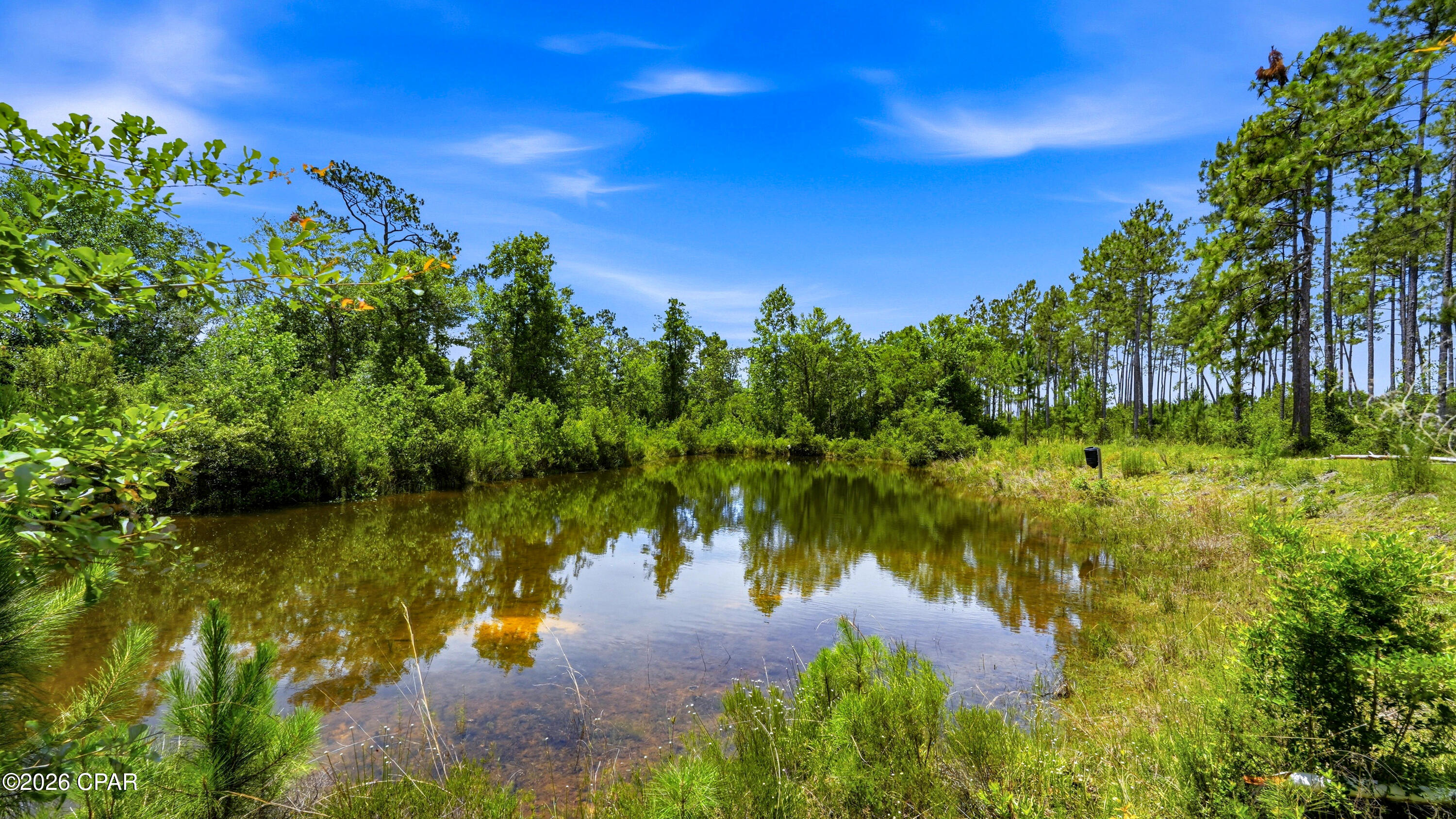 705 Cornwell Road Alford, FL 32420 - Photo 4 of 89