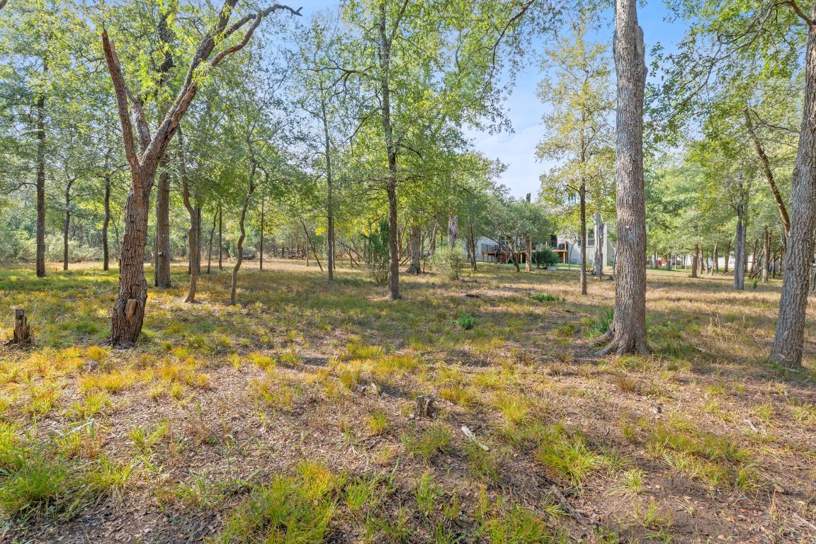 159 Raptor Beak Way Cedar Creek, TX 78612 - Photo 8 of 31 a yard with trees in the background