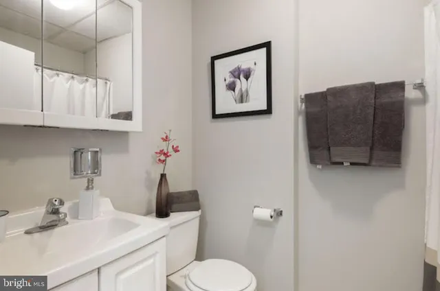 a bathroom with a sink vanity and toilet