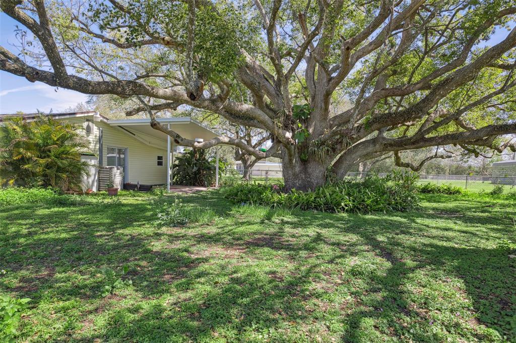 33546 Chancey Road Wesley Chapel, FL 33543 - Photo 22 of 25 a view of a house with a yard