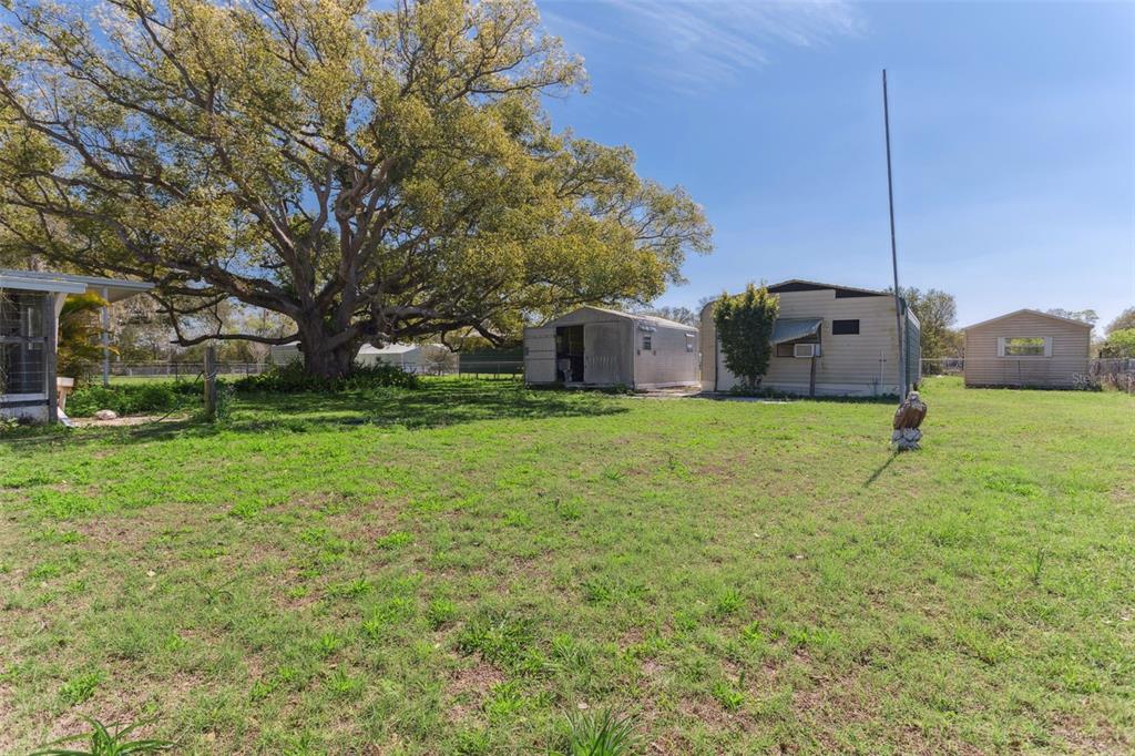 33546 Chancey Road Wesley Chapel, FL 33543 - Photo 24 of 25 a view of a house with a yard