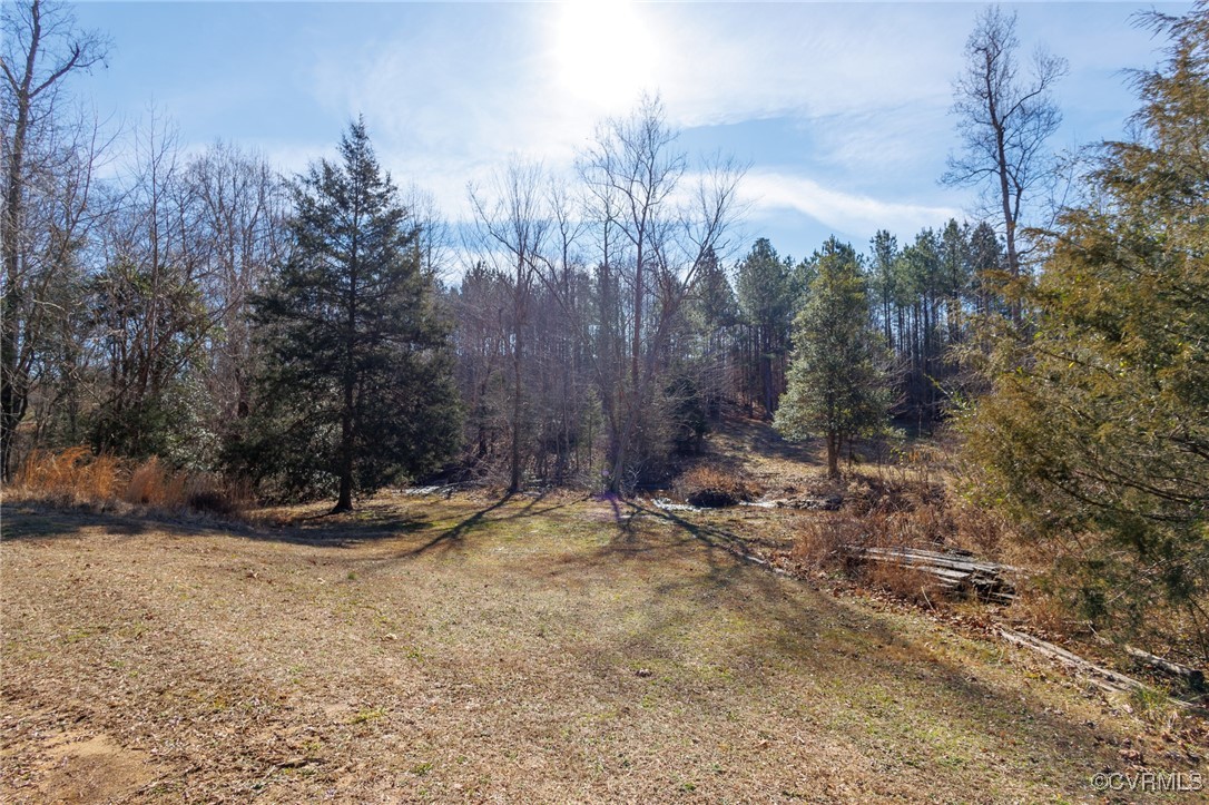1415 Harpers Bridge Road Rawlings, VA 23876 - Photo 43 of 47 Gallery Image 43