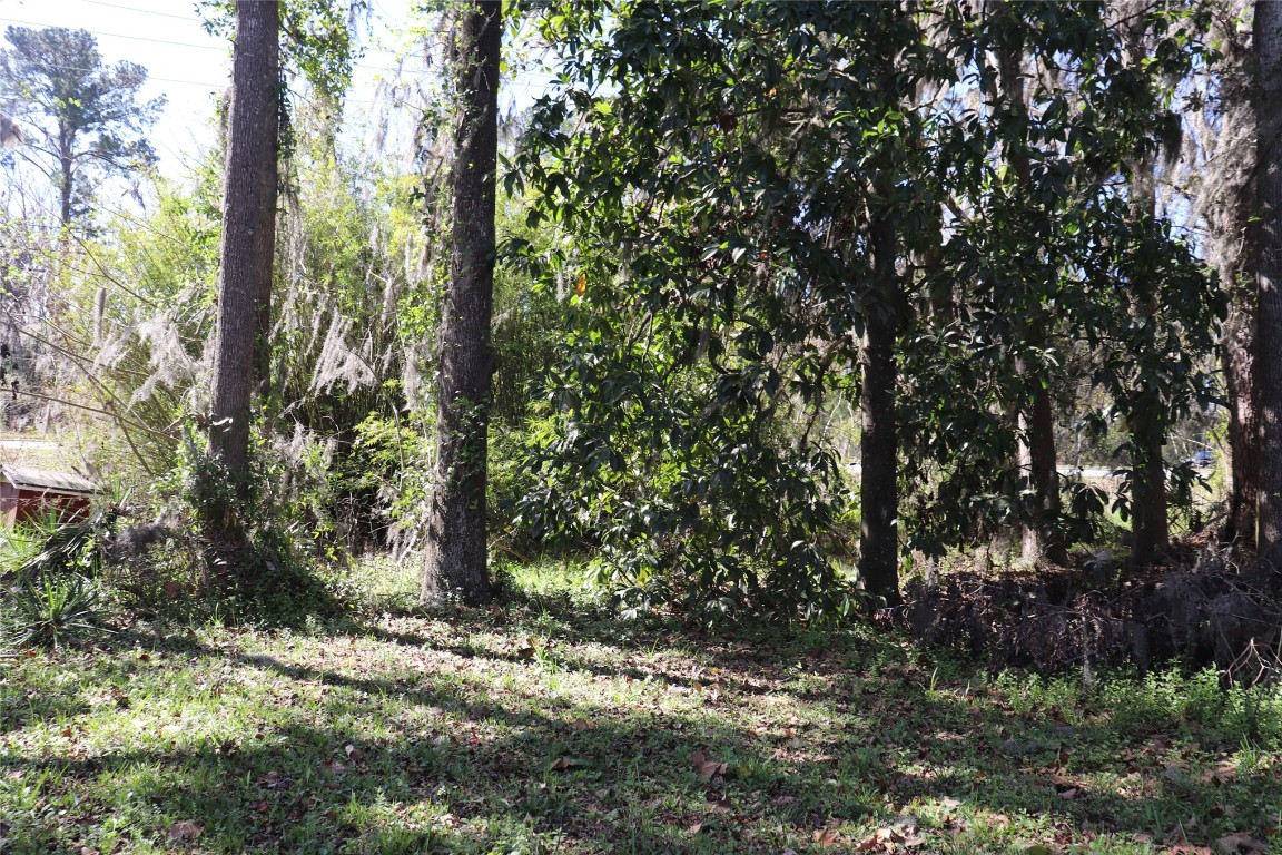 462973 State Road 200 Yulee, FL 32097 - Photo 11 of 18