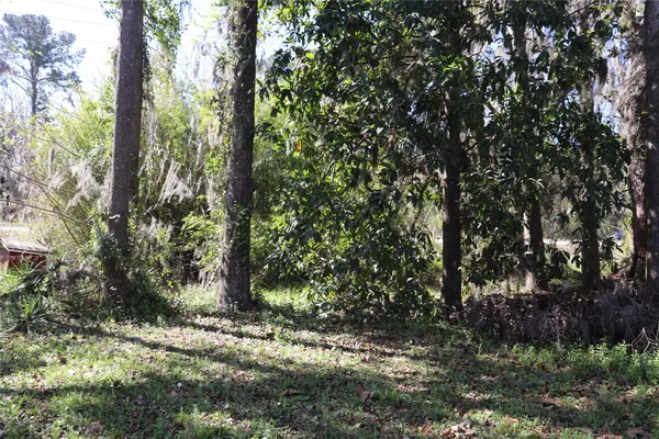 a view of outdoor space and trees