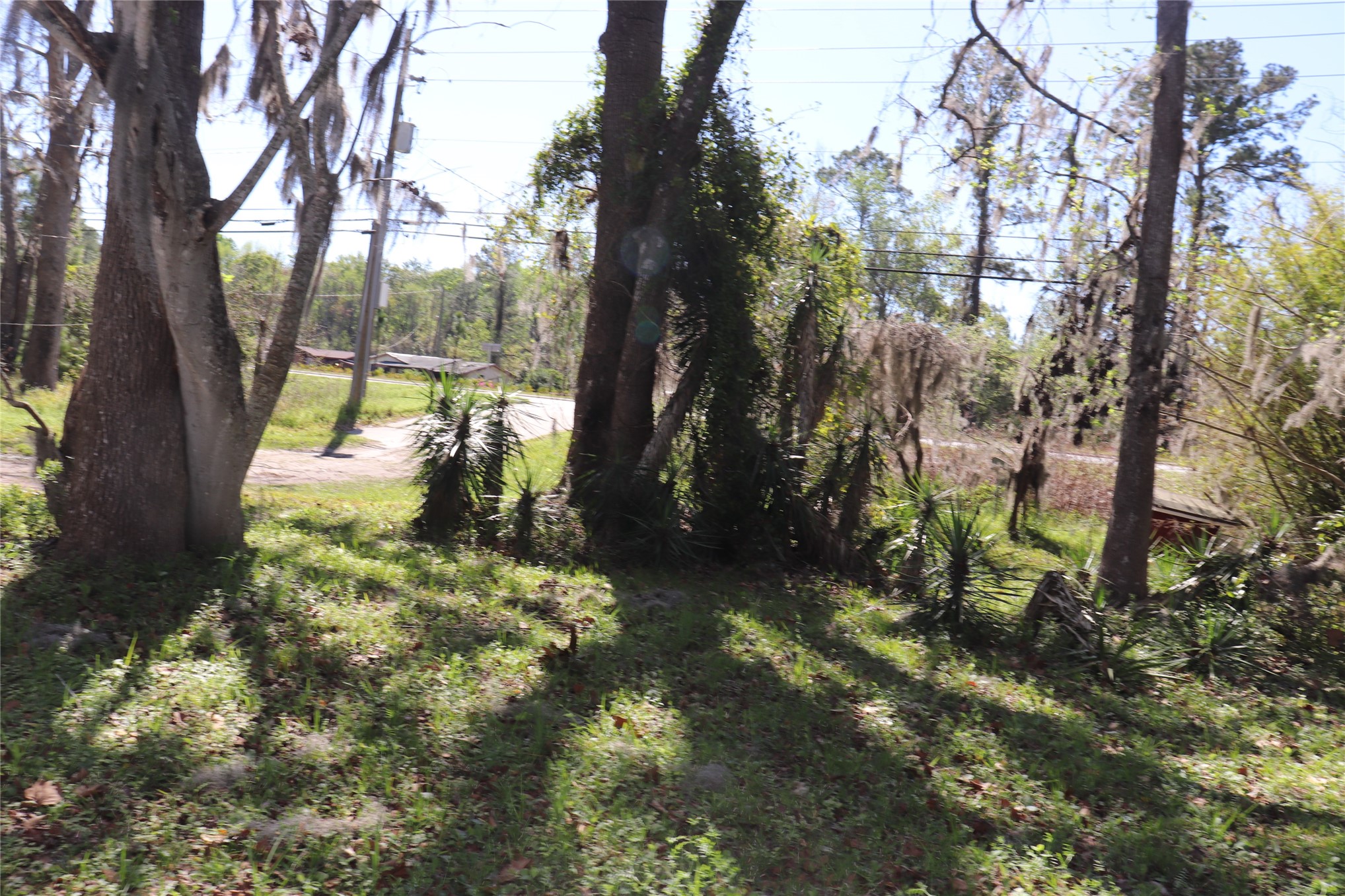 462973 State Road 200 Yulee, FL 32097 - Photo 12 of 18 a view of outdoor space and trees