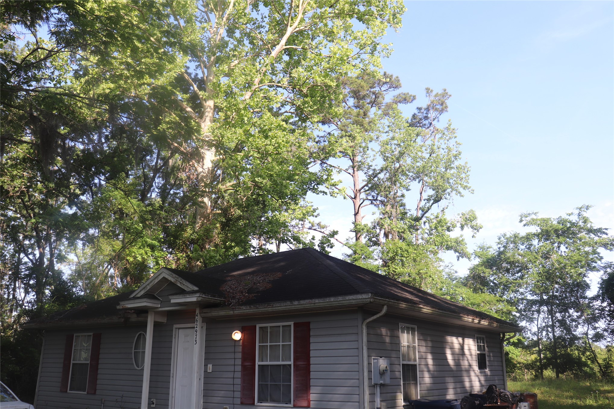 462973 State Road 200 Yulee, FL 32097 - Photo 17 of 18 a front view of a house with a tree