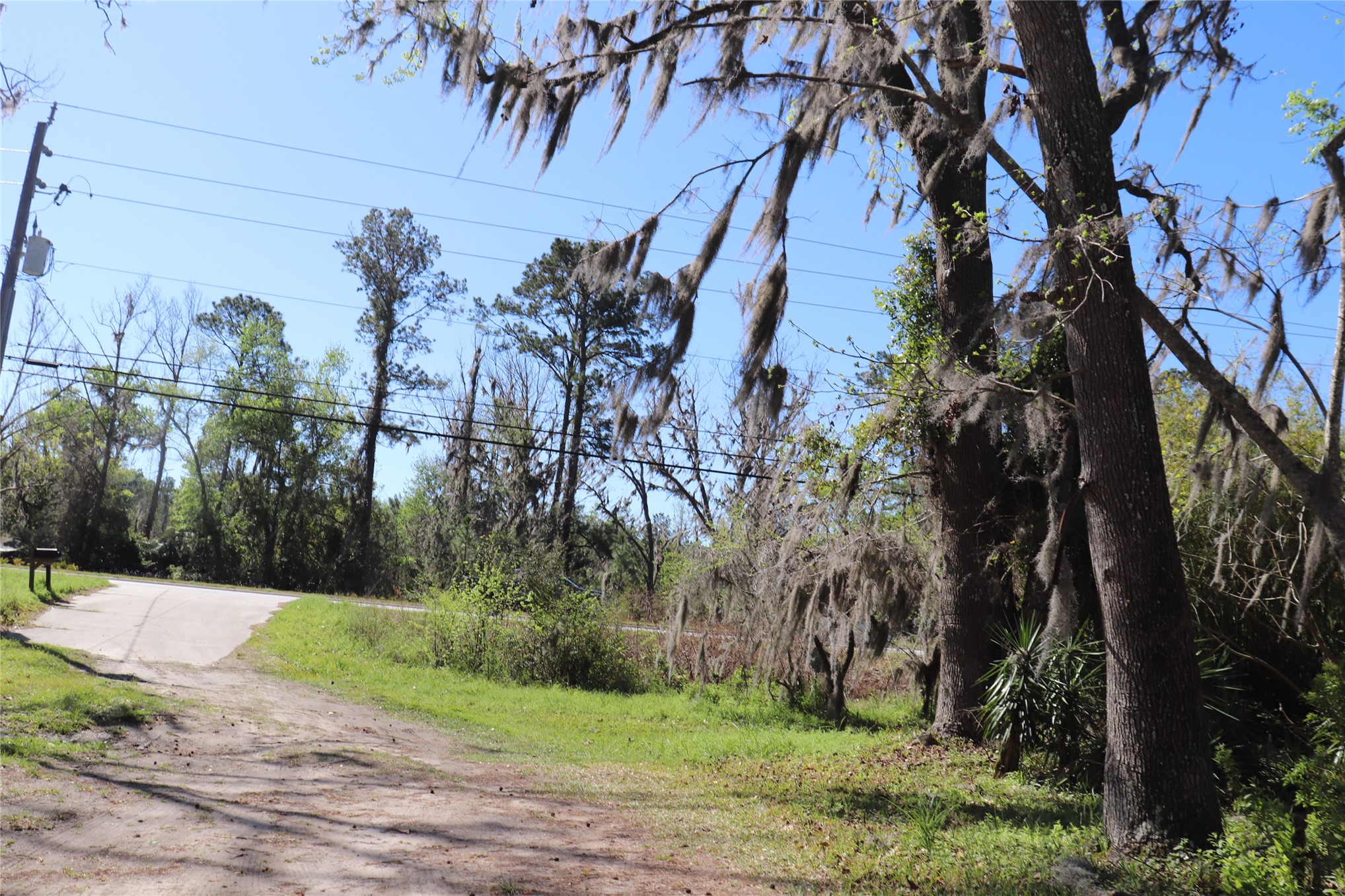 462973 State Road 200 Yulee, FL 32097 - Photo 2 of 18 a view of a park
