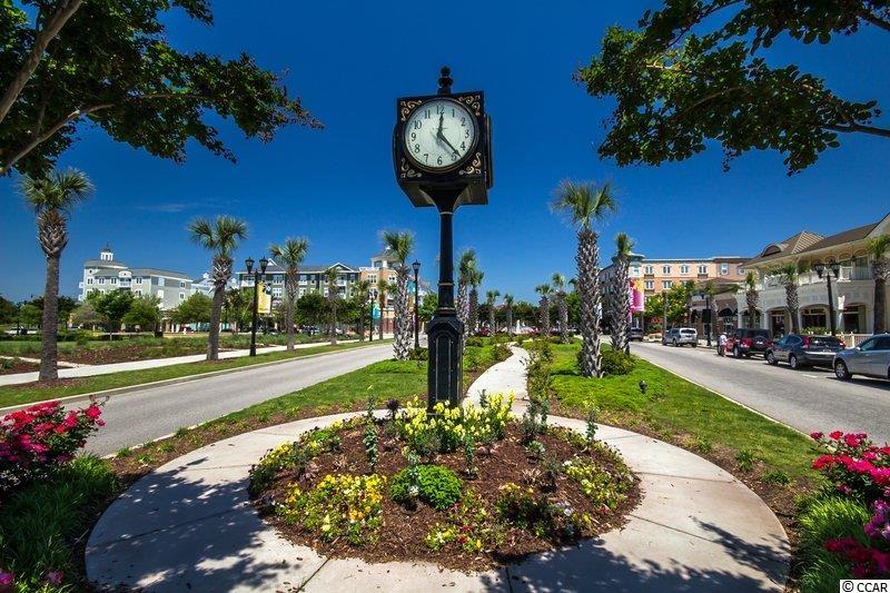 3741 Tea Rose Street, Unit 3741 Myrtle Beach, SC 29577 - Photo 22 of 31 Gallery Image 22