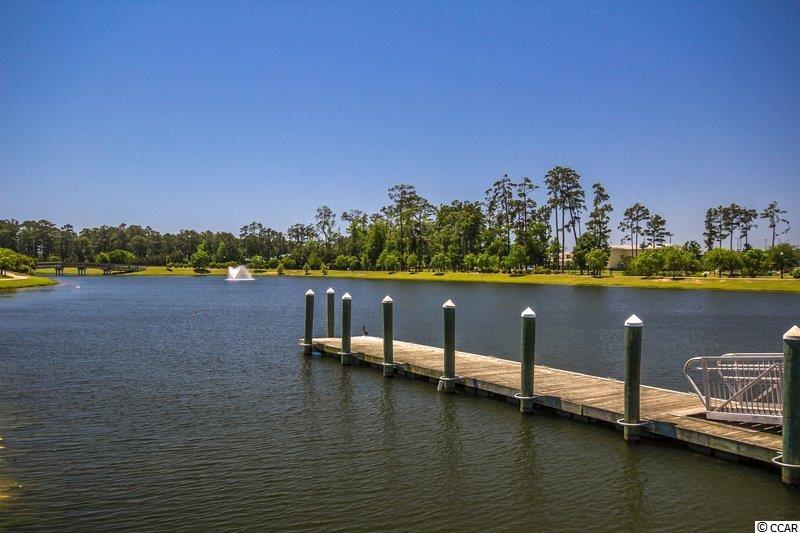 3741 Tea Rose Street, Unit 3741 Myrtle Beach, SC 29577 - Photo 29 of 31 Gallery Image 29