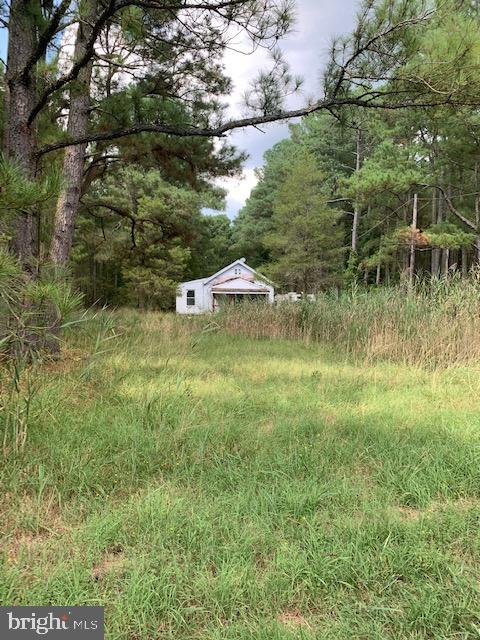 10658 Jerusalem Road Princess Anne, MD 21853 - Photo 3 of 5