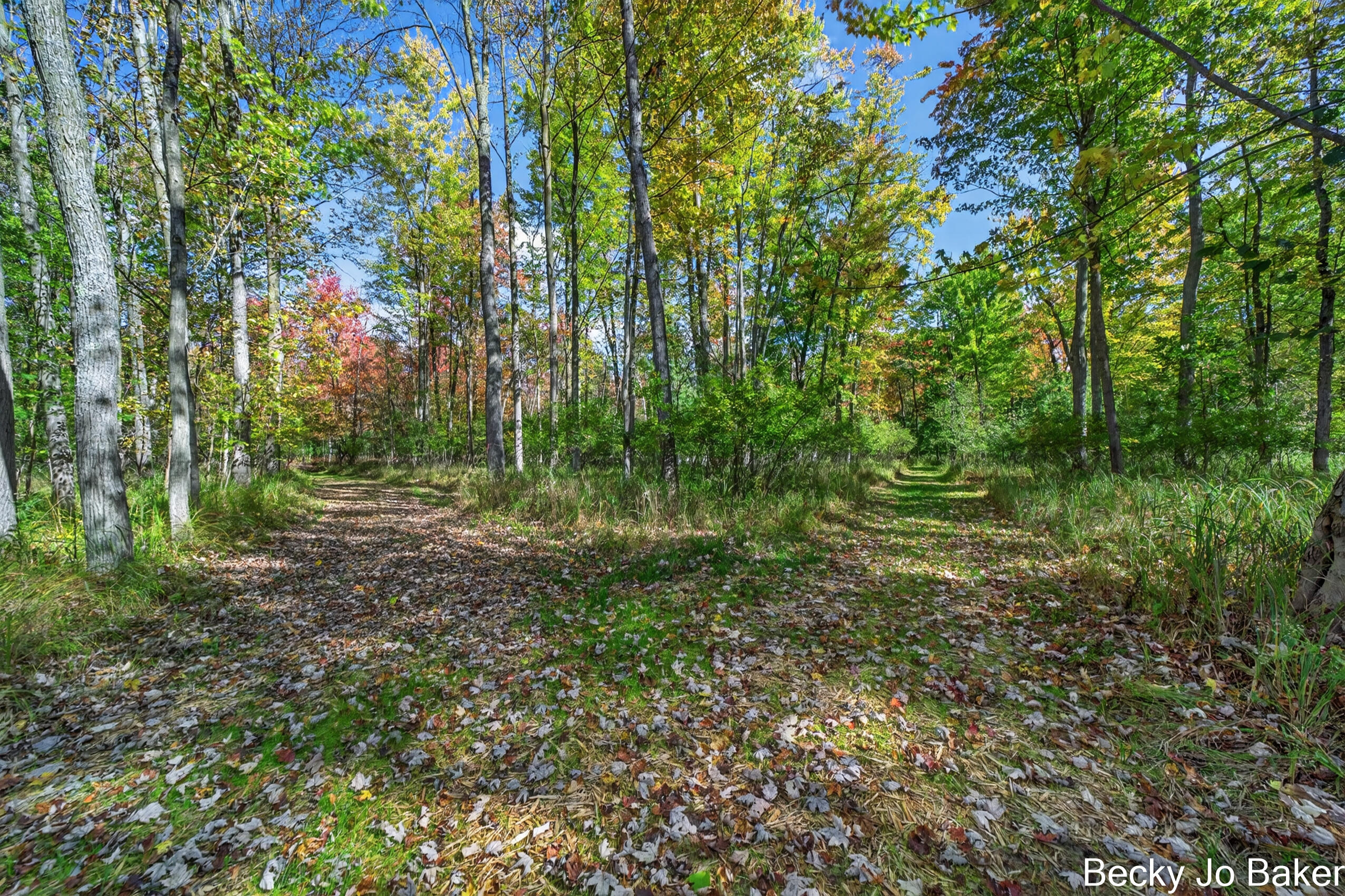 5370 North Alamando Road Coleman, MI 48618 - Photo 39 of 48 5370 N Alamando Rd MLS Size (70 of 92)