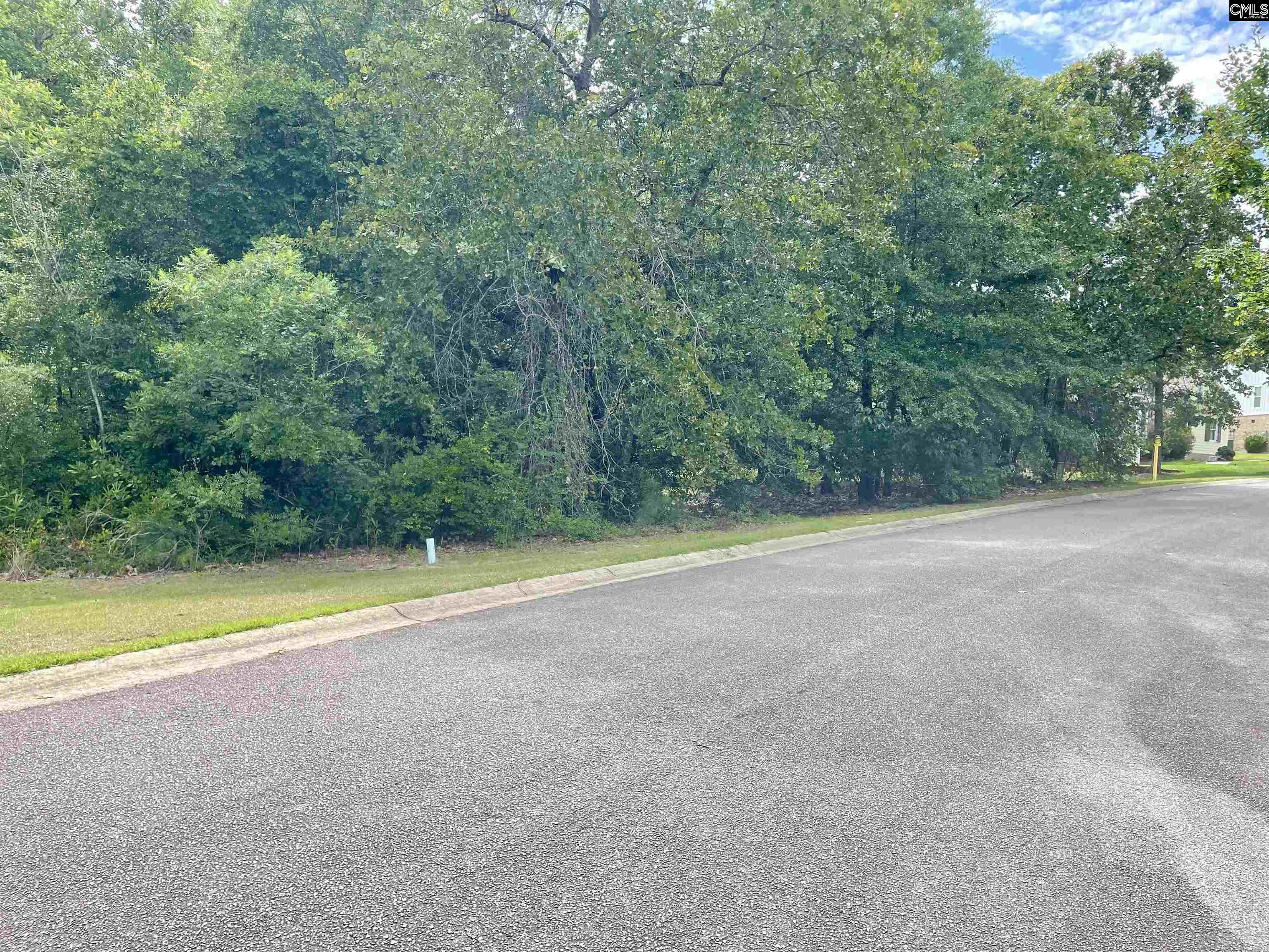 409 Upland Trail Road Elgin, SC 29045 - Photo 2 of 2