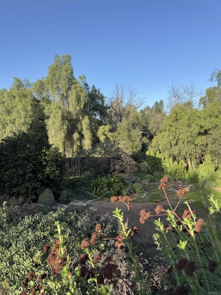 8515 Gardena Road Lakeside, CA 92040 - Photo 23 of 27 Spacious 10,000+ SQFT Lot