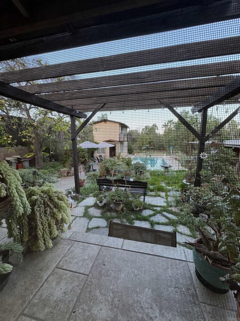 8515 Gardena Road Lakeside, CA 92040 - Photo 10 of 27 View form Main House Patio into the backyard