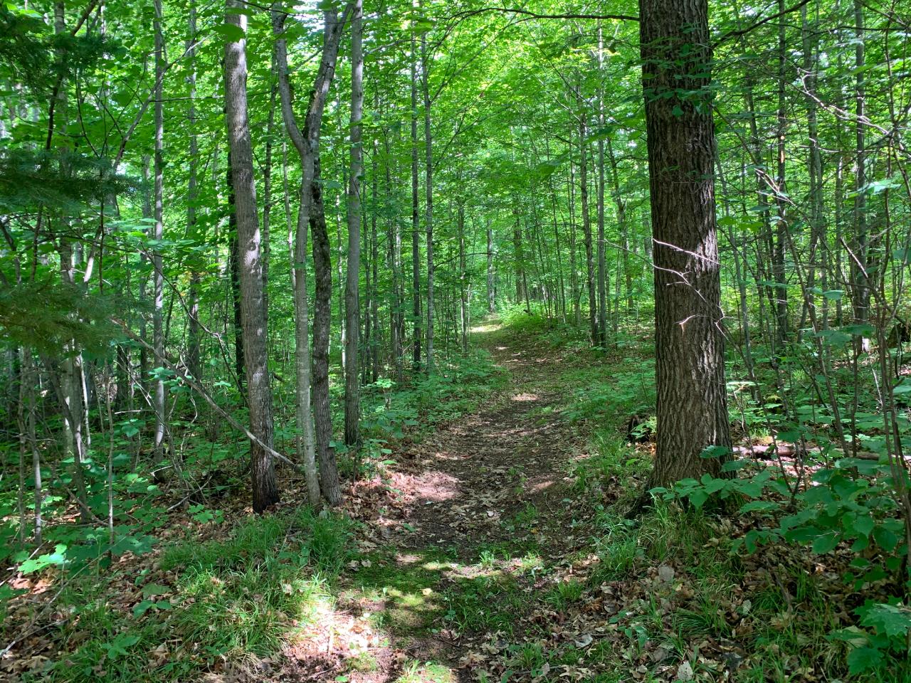 6950 Red Lake Road Presque Isle, WI 54557 - Photo 29 of 29 Gallery Image 29