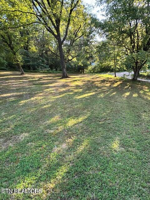 727 Ic King Road Seymour, TN 37865 - Photo 30 of 35 20250808010108866212000000-o