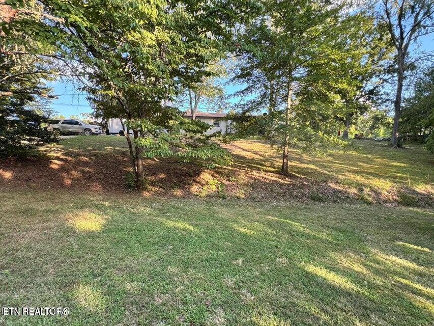 727 Ic King Road Seymour, TN 37865 - Photo 33 of 35 20250808010120284063000000-o