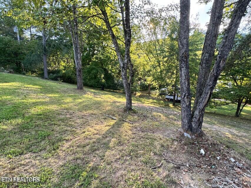 727 Ic King Road Seymour, TN 37865 - Photo 4 of 35 20250808003119700318000000-o