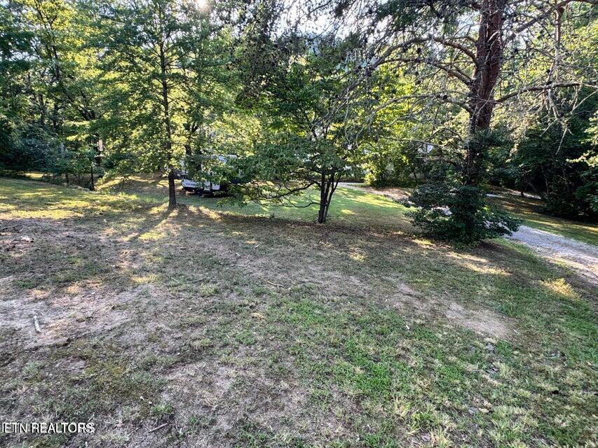 727 Ic King Road Seymour, TN 37865 - Photo 5 of 35 20250808003125063049000000-o