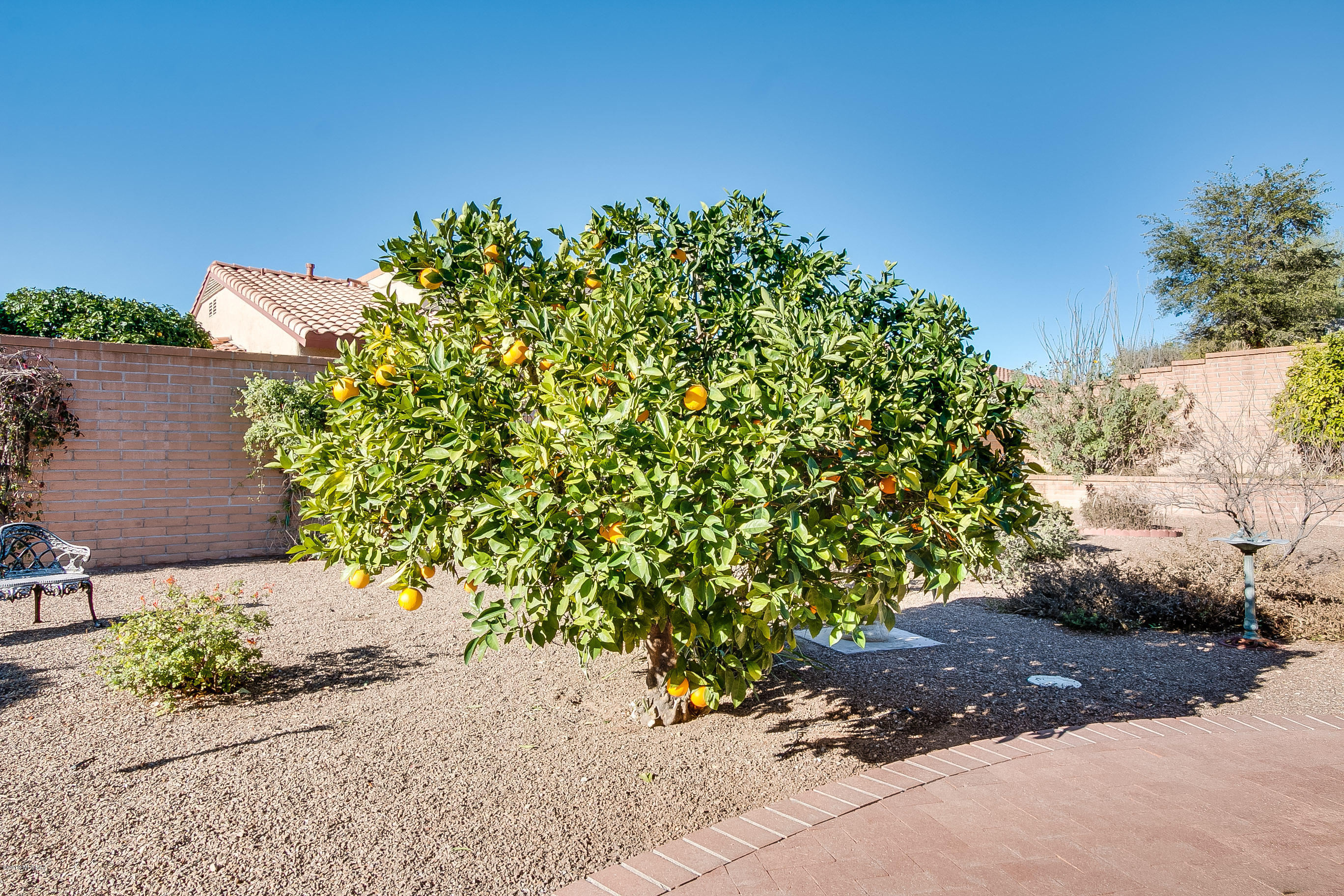 14307 North Rusty Gate Trail Oro Valley, AZ 85755 - Photo 39 of 42