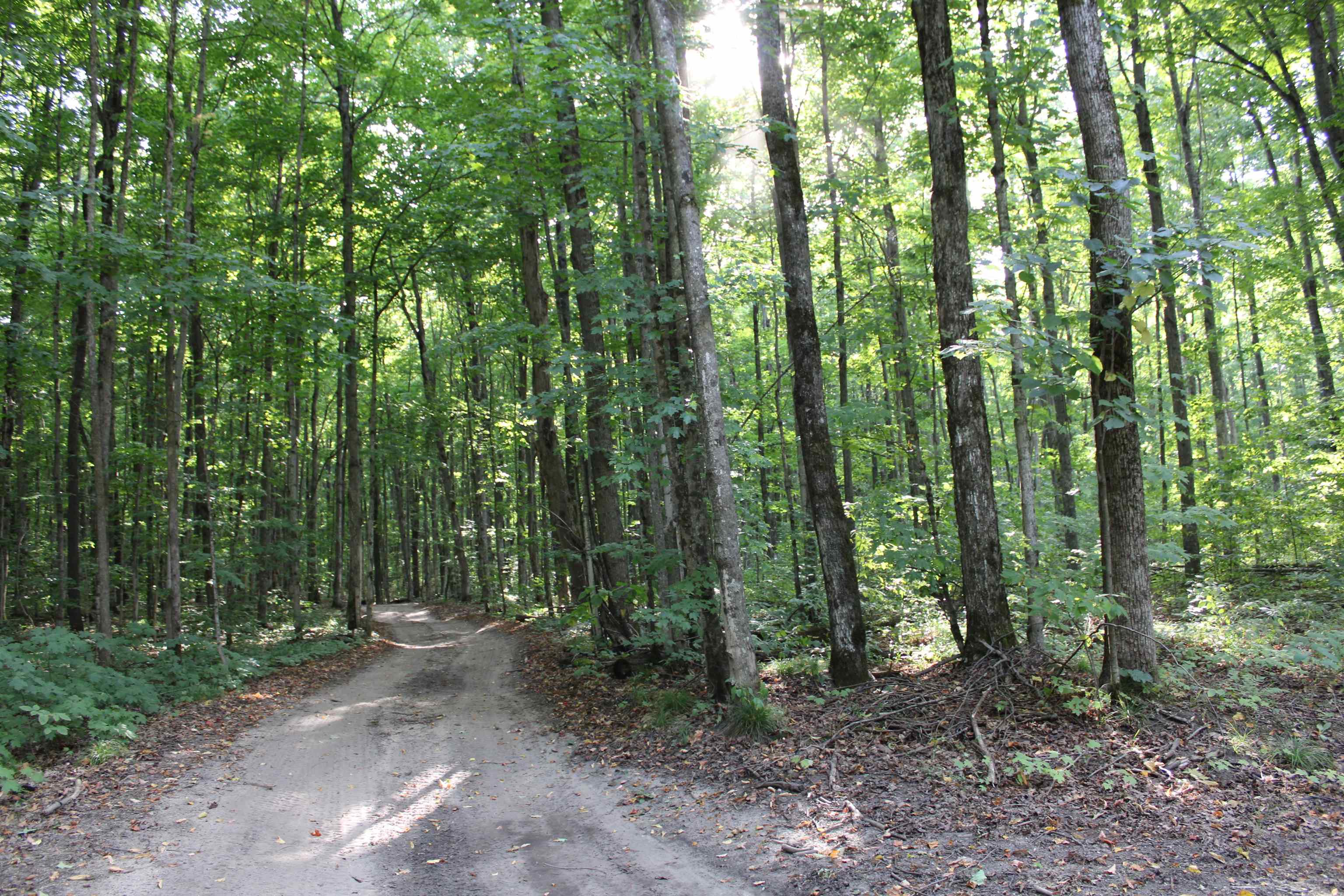 Derry Road Alba, MI 49611 - Photo 14 of 50