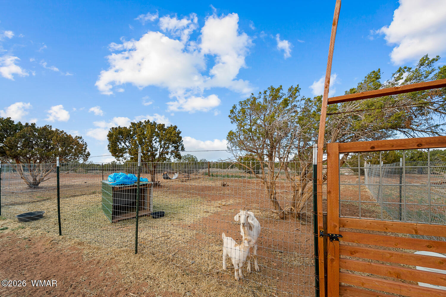 4066 East Pinto Road Snowflake, AZ 85937 - Photo 16 of 49 Great Area to Raise Animals