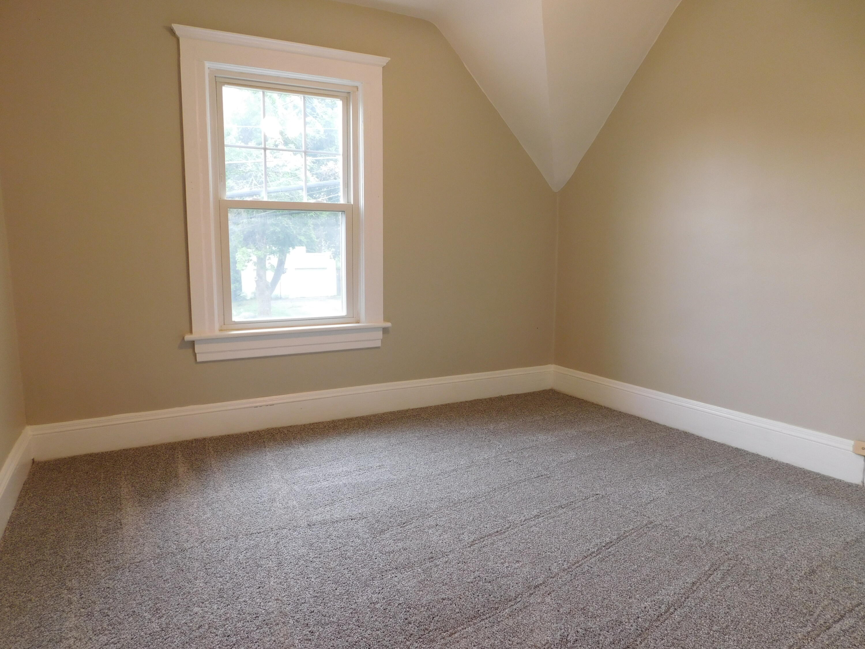 1238 3rd Street Jackson, MI 49203 - Photo 16 of 31 DSCN8907