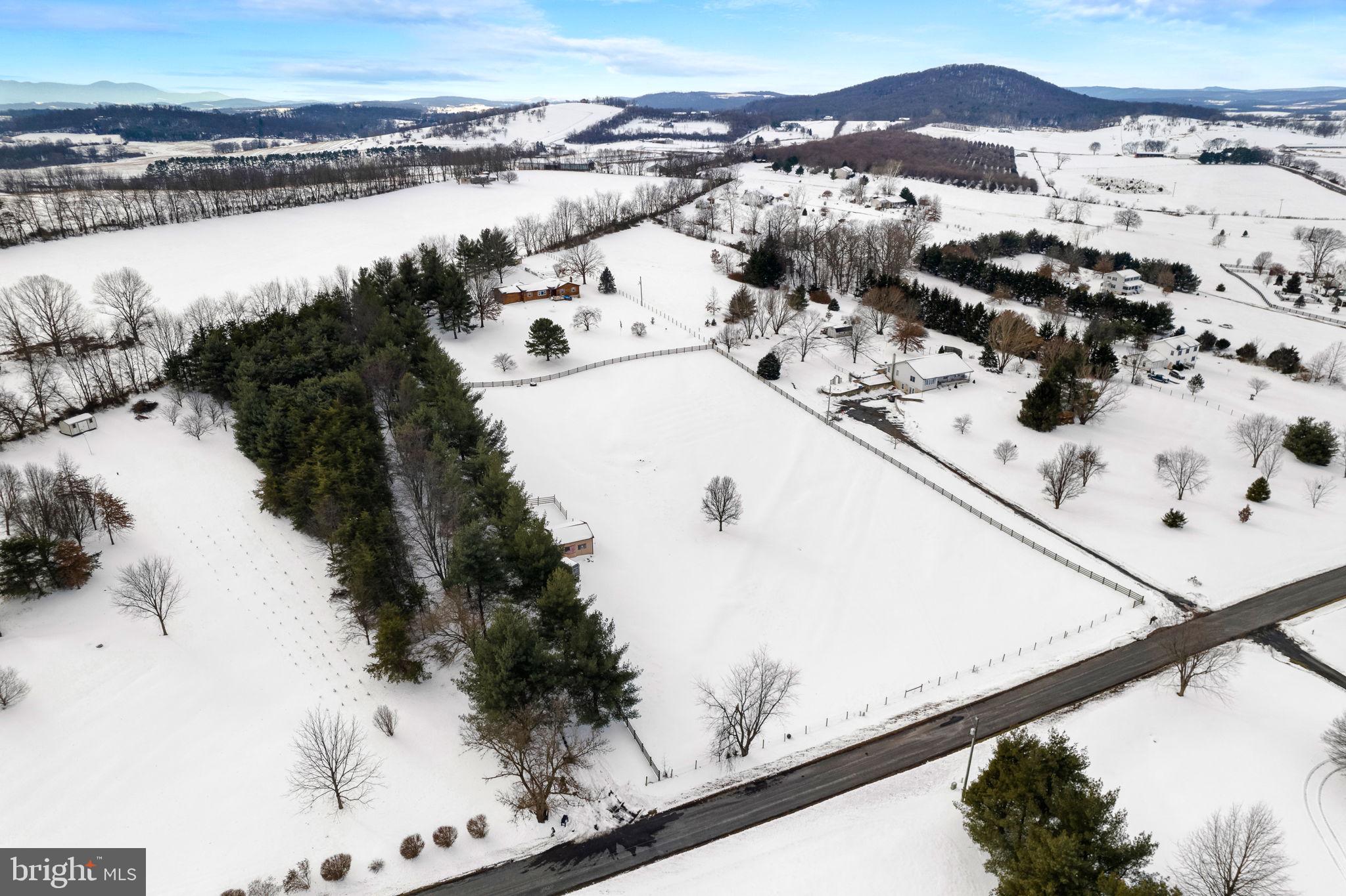 796 Georgetown Road Mount Jackson, VA 22842 - Photo 3 of 40