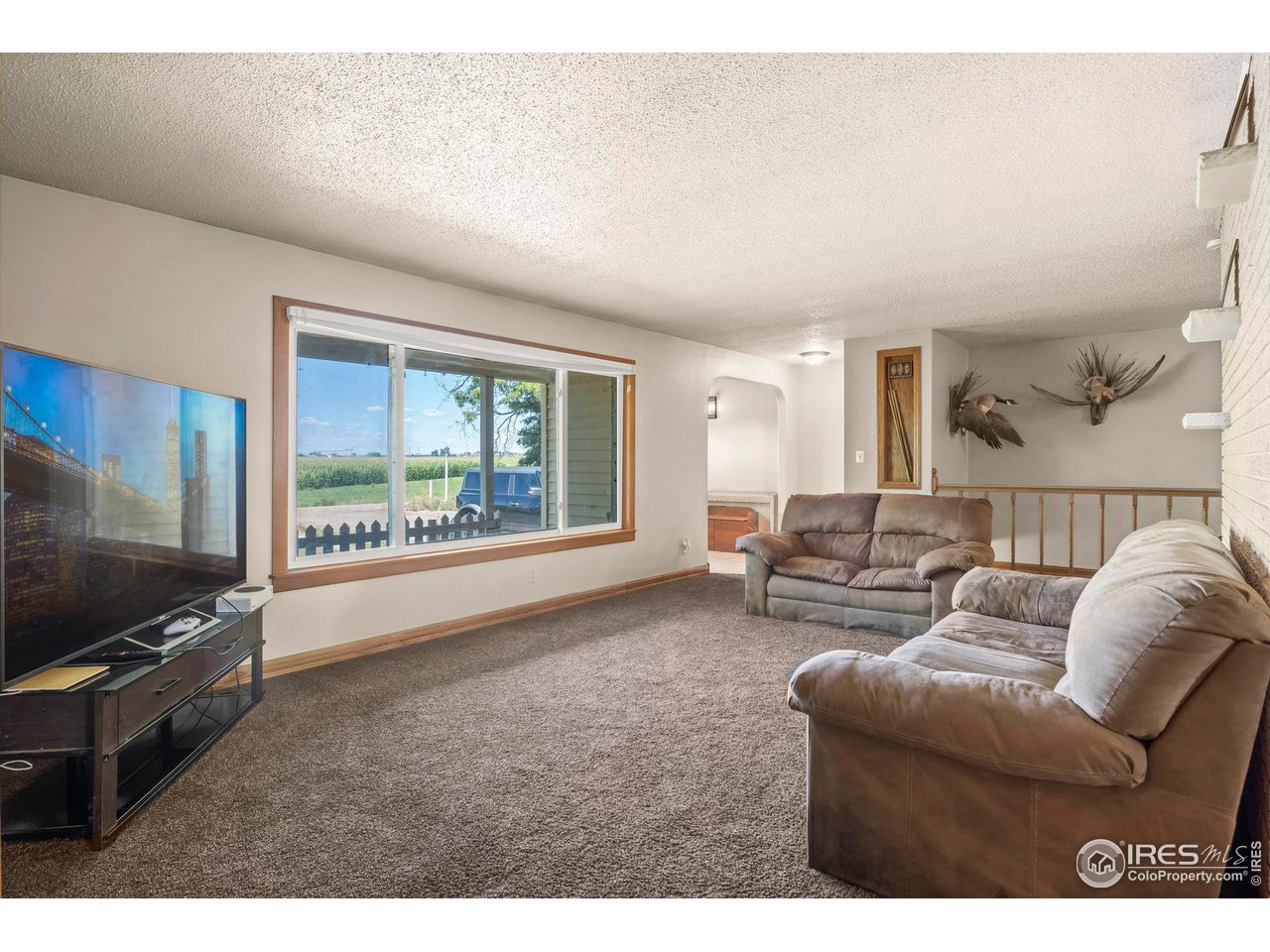 32864 County Road 49 Greeley, CO 80631 - Photo 5 of 40 a living room with furniture and a flat screen tv