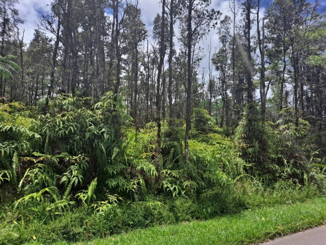 930 Kehau Road Pahoa, HI 96778 - Photo 1 of 3 Gallery Image 1