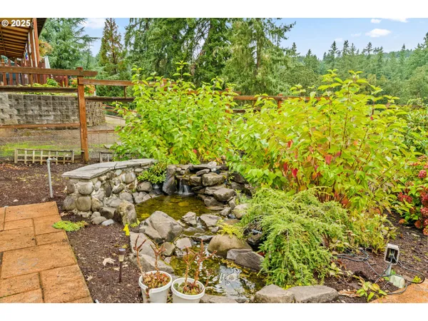a view of a yard with plants