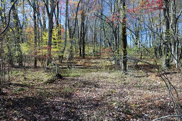 a view of a lake