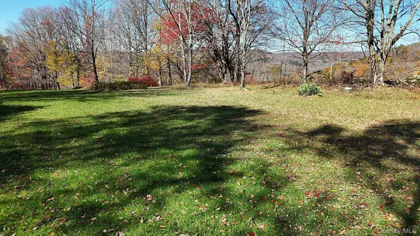a view of a backyard with green space