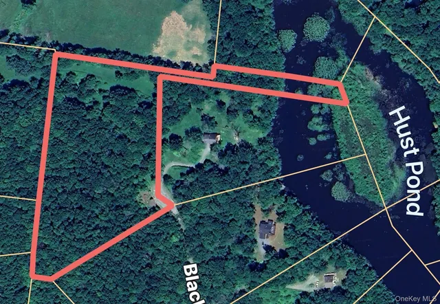 $119,000 | Blackberry Lake Road, Jeffersonville, NY 12748