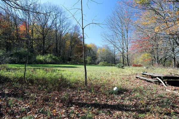 $119,000 | Blackberry Lake Road, Jeffersonville, NY 12748