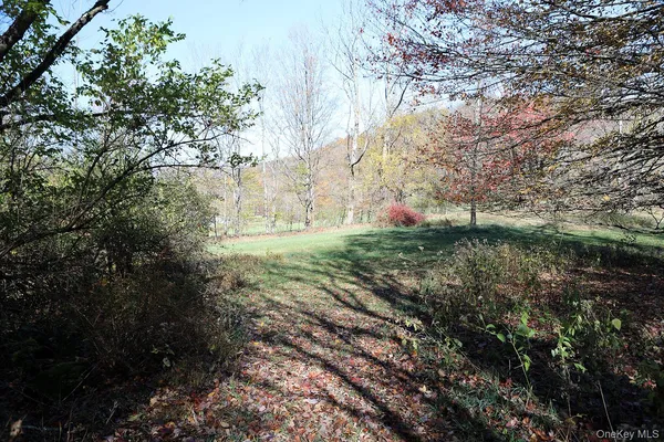 a view of outdoor space with trees