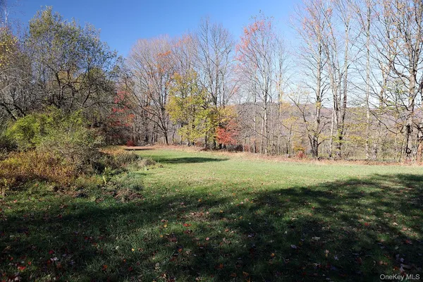 a view of a forest with trees